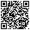 QR Code Handyversion