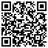 QR Code Handyversion