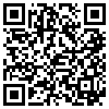 QR Code Handyversion