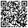 QR Code Handyversion