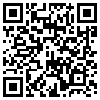 QR Code Handyversion