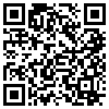 QR Code Handyversion