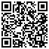 QR Code Handyversion