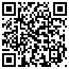 QR Code Handyversion