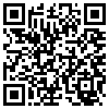 QR Code Handyversion