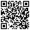 QR Code Handyversion