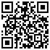 QR Code Handyversion