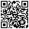QR Code Handyversion