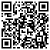 QR Code Handyversion