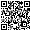 QR Code Handyversion