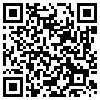 QR Code Handyversion