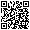 QR Code Handyversion