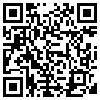 QR Code Handyversion