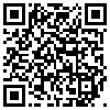 QR Code Handyversion