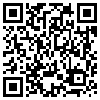 QR Code Handyversion