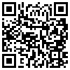 QR Code Handyversion