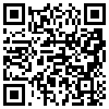 QR Code Handyversion