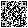 QR Code Handyversion