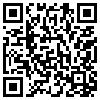 QR Code Handyversion