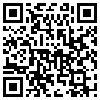 QR Code Handyversion