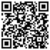 QR Code Handyversion