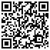 QR Code Handyversion