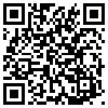 QR Code Handyversion