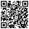 QR Code Handyversion