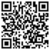 QR Code Handyversion