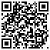 QR Code Handyversion