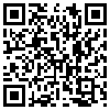 QR Code Handyversion