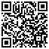 QR Code Handyversion