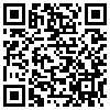 QR Code Handyversion