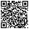 QR Code Handyversion