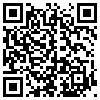 QR Code Handyversion