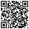 QR Code Handyversion