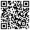 QR Code Handyversion