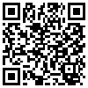 QR Code Handyversion