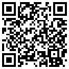 QR Code Handyversion