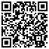 QR Code Handyversion