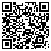 QR Code Handyversion