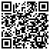 QR Code Handyversion