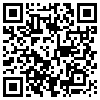 QR Code Handyversion