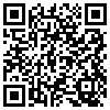 QR Code Handyversion