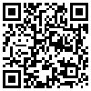 QR Code Handyversion