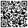 QR Code Handyversion