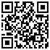 QR Code Handyversion