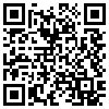 QR Code Handyversion