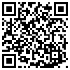 QR Code Handyversion