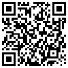 QR Code Handyversion